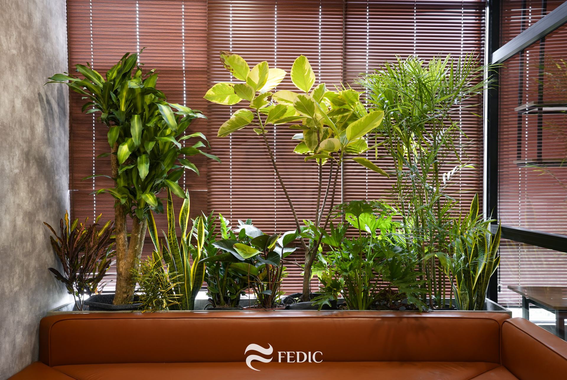 Pearl Dragon Office_Fedic Decor